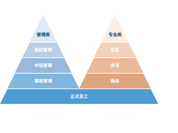 Ag亚洲集团 